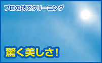プロの技でクリーニング